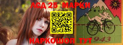 гашик Новозыбков