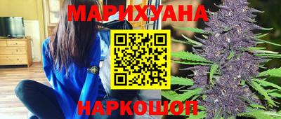 гашик Новозыбков