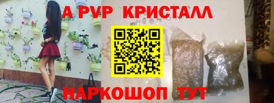 гашик Новозыбков