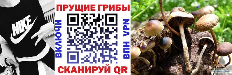 Псилоцибиновые грибы прущие грибы  Советская Гавань 