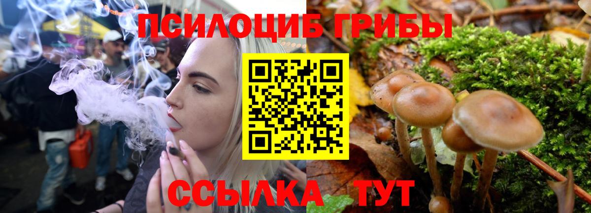 Советская Гавань  Псилоцибиновые грибы GOLDEN TEACHER  Псилоцибиновые грибы прущие грибы  Вход с VPN 